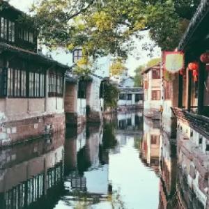 探索知识星球平台,尽享250亿影帝!沈腾主演电影票房破250亿登热搜,内娱还有哪些百亿演员?的精彩世界